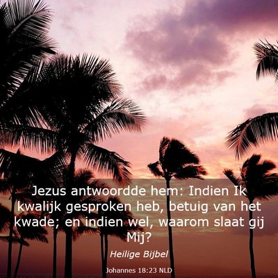 Picture 03 - Johannes 18:23 NLD - Jezus antwoordde hem: Indien Ik kwalijk gesproken - Bible Verse Picture