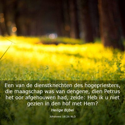 Picture 03 - Johannes 18:26 NLD - Een van de dienstknechten des hogepriesters, die - Bible Verse Picture