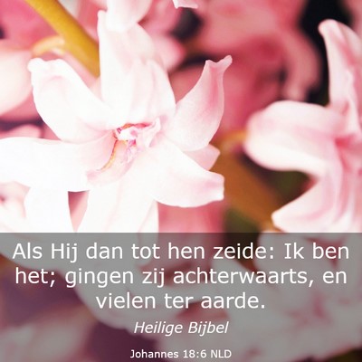 Picture 03 - Johannes 18:6 NLD - Als Hij dan tot hen zeide: Ik ben het; gingen zij - Bible Verse Picture