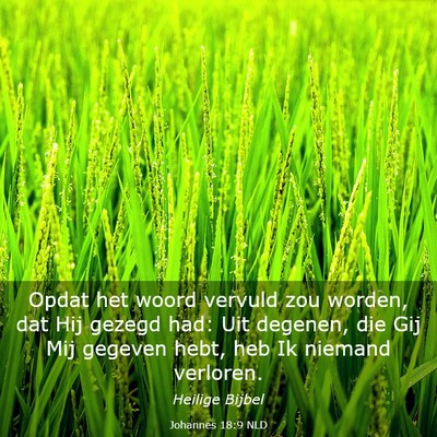 Picture 03 - Johannes 18:9 NLD - Opdat het woord vervuld zou worden, dat Hij - Bible Verse Picture