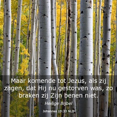Picture 03 - Johannes 19:33 NLD - Maar komende tot Jezus, als zij zagen, dat Hij nu - Bible Verse Picture