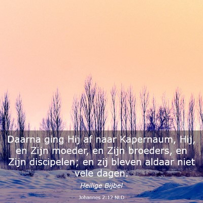 Picture 03 - Johannes 2:12 NLD - Daarna ging Hij af naar Kapernaum, Hij, en Zijn - Bible Verse Picture