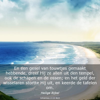 Picture 03 - Johannes 2:15 NLD - En een gesel van touwtjes gemaakt hebbende, dreef - Bible Verse Picture