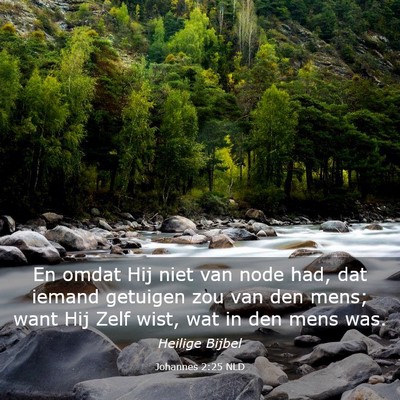 Picture 03 - Johannes 2:25 NLD - En omdat Hij niet van node had, dat iemand - Bible Verse Picture