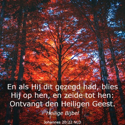 Picture 03 - Johannes 20:22 NLD - En als Hij dit gezegd had, blies Hij op hen, en - Bible Verse Picture