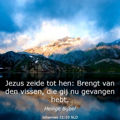 Picture 03 - Johannes 21:10 NLD - Jezus zeide tot hen: Brengt van den vissen, die - Bible Verse Picture
