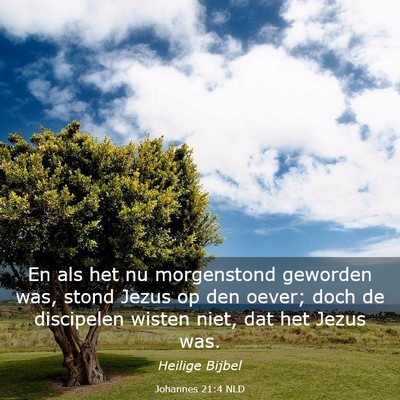 Picture 03 - Johannes 21:4 NLD - En als het nu morgenstond geworden was, stond - Bible Verse Picture