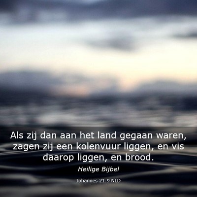 Picture 03 - Johannes 21:9 NLD - Als zij dan aan het land gegaan waren, zagen zij - Bible Verse Picture
