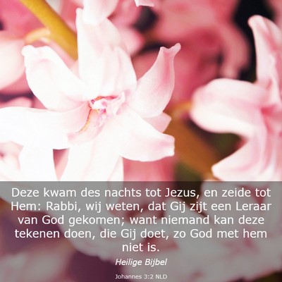 Picture 03 - Johannes 3:2 NLD - Deze kwam des nachts tot Jezus, en zeide tot Hem: - Bible Verse Picture