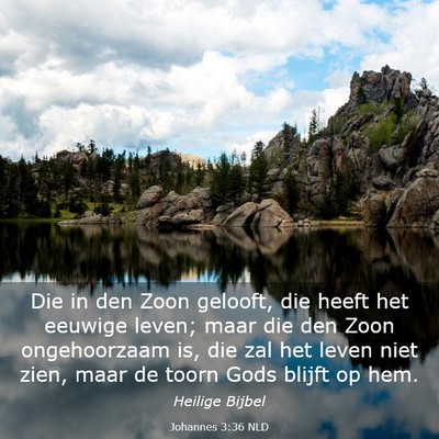 Picture 03 - Johannes 3:36 NLD - Die in den Zoon gelooft, die heeft het eeuwige - Bible Verse Picture