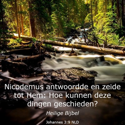 Picture 03 - Johannes 3:9 NLD - Nicodemus antwoordde en zeide tot Hem: Hoe kunnen - Bible Verse Picture
