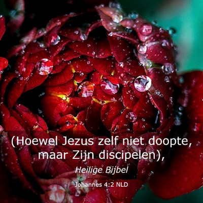 Picture 03 - Johannes 4:2 NLD - (Hoewel Jezus zelf niet doopte, maar Zijn - Bible Verse Picture