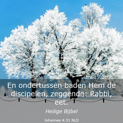 Picture 03 - Johannes 4:31 NLD - En ondertussen baden Hem de discipelen, zeggende: - Bible Verse Picture
