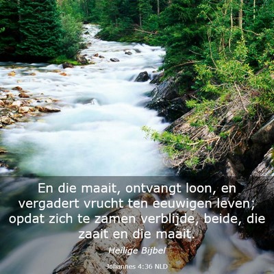Picture 03 - Johannes 4:36 NLD - En die maait, ontvangt loon, en vergadert vrucht - Bible Verse Picture
