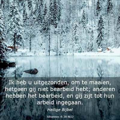 Picture 03 - Johannes 4:38 NLD - Ik heb u uitgezonden, om te maaien, hetgeen gij - Bible Verse Picture