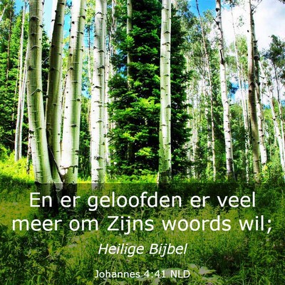 Picture 03 - Johannes 4:41 NLD - En er geloofden er veel meer om Zijns woords - Bible Verse Picture
