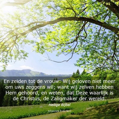 Picture 03 - Johannes 4:42 NLD - En zeiden tot de vrouw: Wij geloven niet meer om - Bible Verse Picture