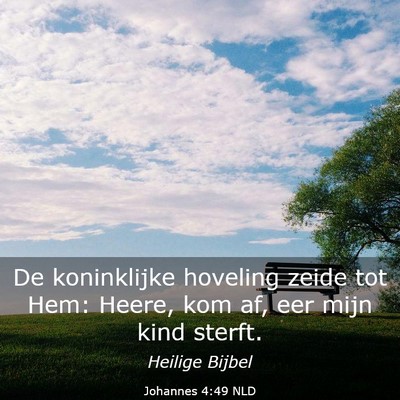 Picture 03 - Johannes 4:49 NLD - De koninklijke hoveling zeide tot Hem: Heere, kom - Bible Verse Picture