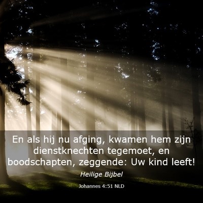 Picture 03 - Johannes 4:51 NLD - En als hij nu afging, kwamen hem zijn - Bible Verse Picture