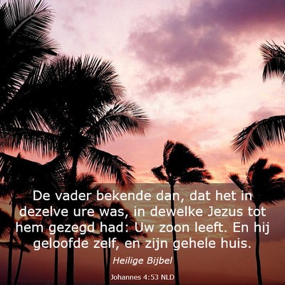 Picture 03 - Johannes 4:53 NLD - De vader bekende dan, dat het in dezelve ure was, - Bible Verse Picture