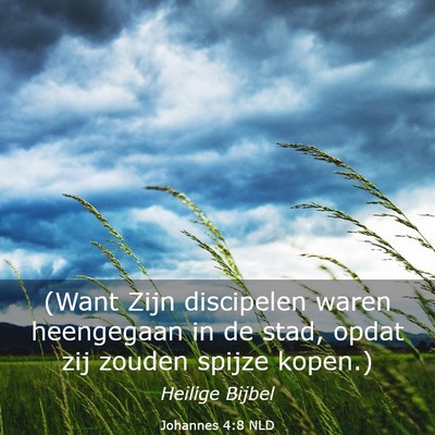 Picture 03 - Johannes 4:8 NLD - (Want Zijn discipelen waren heengegaan in de - Bible Verse Picture