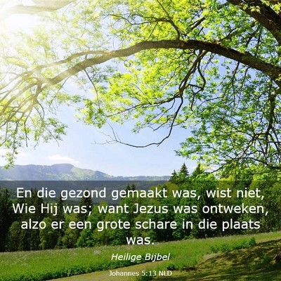 Picture 03 - Johannes 5:13 NLD - En die gezond gemaakt was, wist niet, Wie Hij - Bible Verse Picture