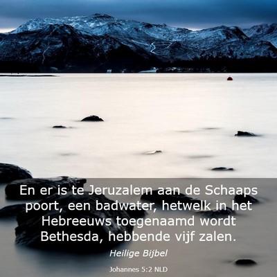 Picture 03 - Johannes 5:2 NLD - En er is te Jeruzalem aan de Schaaps poort, een - Bible Verse Picture