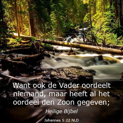 Picture 03 - Johannes 5:22 NLD - Want ook de Vader oordeelt niemand, maar heeft al - Bible Verse Picture