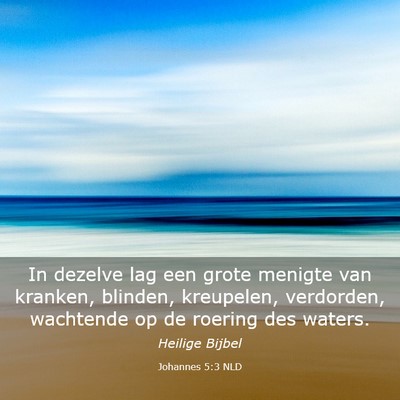Picture 03 - Johannes 5:3 NLD - In dezelve lag een grote menigte van kranken, - Bible Verse Picture