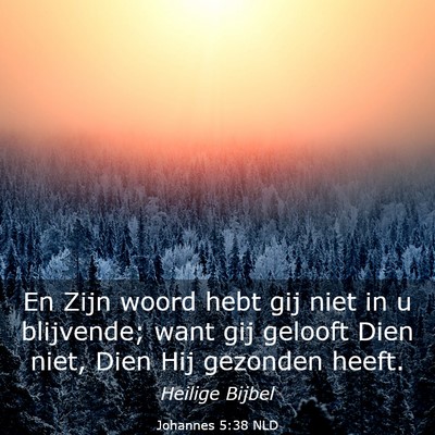 Picture 03 - Johannes 5:38 NLD - En Zijn woord hebt gij niet in u blijvende; want - Bible Verse Picture