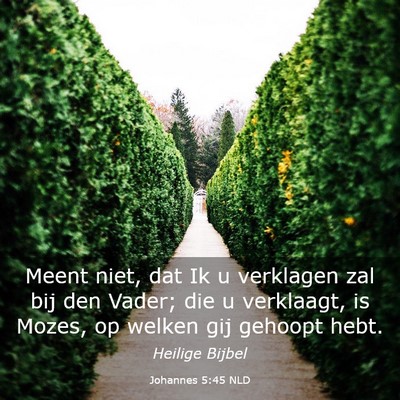 Picture 03 - Johannes 5:45 NLD - Meent niet, dat Ik u verklagen zal bij den Vader; - Bible Verse Picture