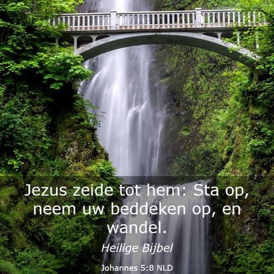 Picture 03 - Johannes 5:8 NLD - Jezus zeide tot hem: Sta op, neem uw beddeken op, - Bible Verse Picture