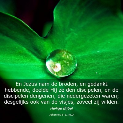 Picture 03 - Johannes 6:11 NLD - En Jezus nam de broden, en gedankt hebbende, - Bible Verse Picture