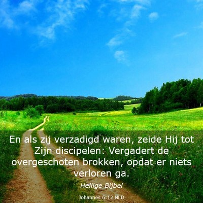 Picture 03 - Johannes 6:12 NLD - En als zij verzadigd waren, zeide Hij tot Zijn - Bible Verse Picture