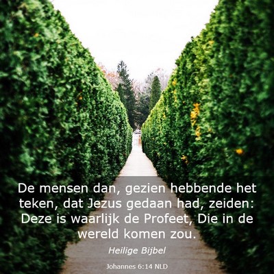 Picture 03 - Johannes 6:14 NLD - De mensen dan, gezien hebbende het teken, dat - Bible Verse Picture