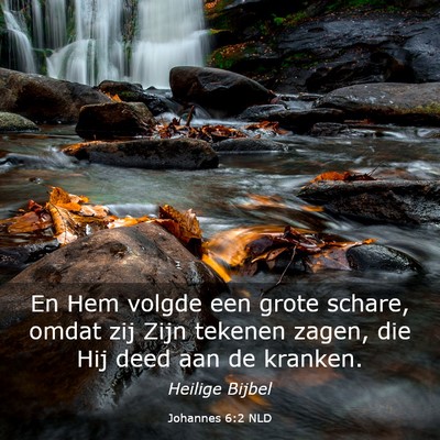 Picture 03 - Johannes 6:2 NLD - En Hem volgde een grote schare, omdat zij Zijn - Bible Verse Picture