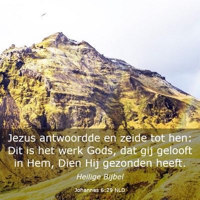 Picture 03 - Johannes 6:29 NLD - Jezus antwoordde en zeide tot hen: Dit is het - Bible Verse Picture