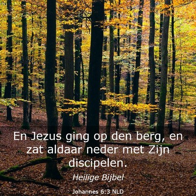 Picture 03 - Johannes 6:3 NLD - En Jezus ging op den berg, en zat aldaar neder - Bible Verse Picture