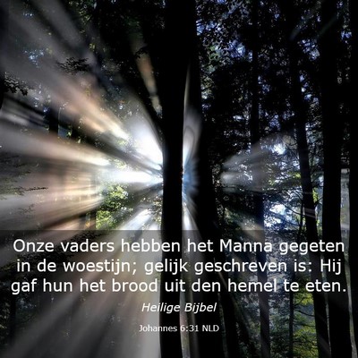 Picture 03 - Johannes 6:31 NLD - Onze vaders hebben het Manna gegeten in de - Bible Verse Picture