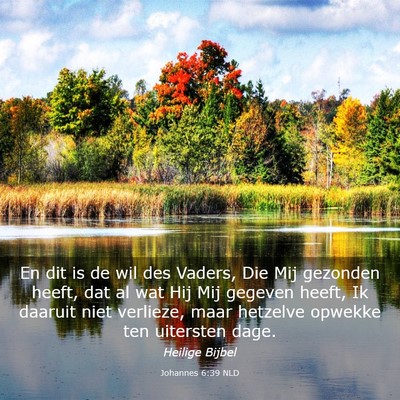 Picture 03 - Johannes 6:39 NLD - En dit is de wil des Vaders, Die Mij gezonden - Bible Verse Picture