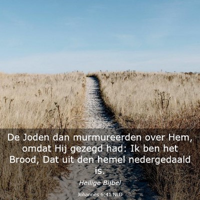 Picture 03 - Johannes 6:41 NLD - De Joden dan murmureerden over Hem, omdat Hij - Bible Verse Picture