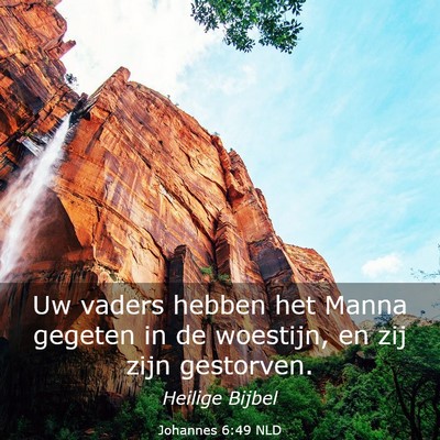 Picture 03 - Johannes 6:49 NLD - Uw vaders hebben het Manna gegeten in de - Bible Verse Picture