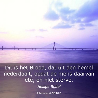 Picture 03 - Johannes 6:50 NLD - Dit is het Brood, dat uit den hemel nederdaalt, - Bible Verse Picture