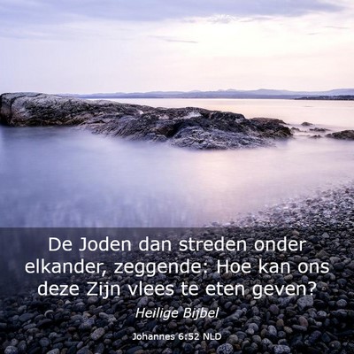 Picture 03 - Johannes 6:52 NLD - De Joden dan streden onder elkander, zeggende: - Bible Verse Picture