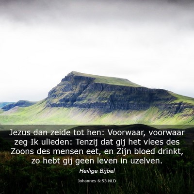 Picture 03 - Johannes 6:53 NLD - Jezus dan zeide tot hen: Voorwaar, voorwaar zeg - Bible Verse Picture