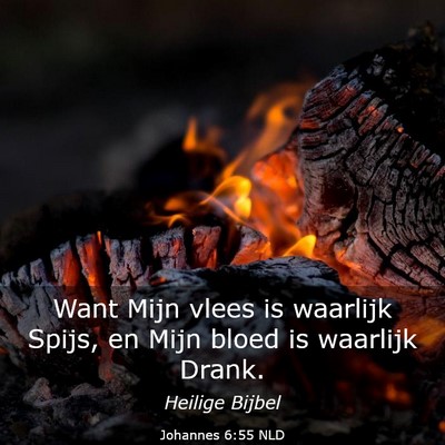 Picture 03 - Johannes 6:55 NLD - Want Mijn vlees is waarlijk Spijs, en Mijn bloed - Bible Verse Picture