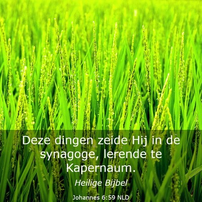 Picture 03 - Johannes 6:59 NLD - Deze dingen zeide Hij in de synagoge, lerende te - Bible Verse Picture