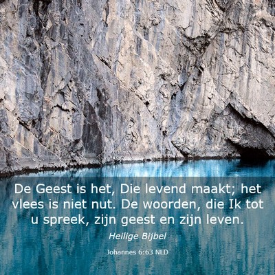 Picture 03 - Johannes 6:63 NLD - De Geest is het, Die levend maakt; het vlees is - Bible Verse Picture