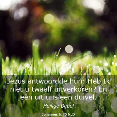 Picture 03 - Johannes 6:70 NLD - Jezus antwoordde hun: Heb Ik niet u twaalf - Bible Verse Picture