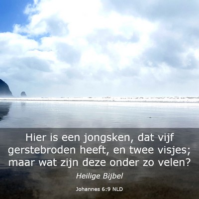 Picture 03 - Johannes 6:9 NLD - Hier is een jongsken, dat vijf gerstebroden - Bible Verse Picture